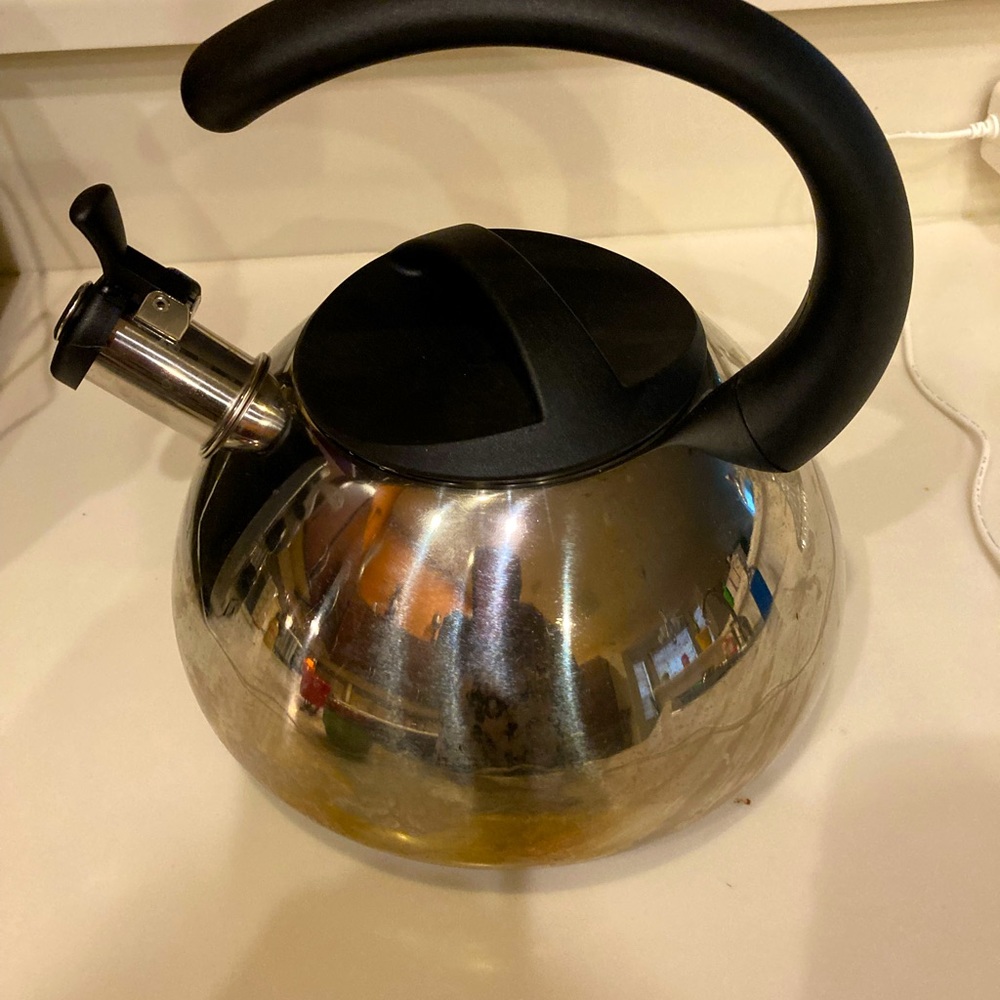 Stainless steel tea kettle